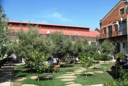Courtyard view of Arts on Main