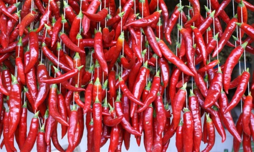 Paprika Peppers