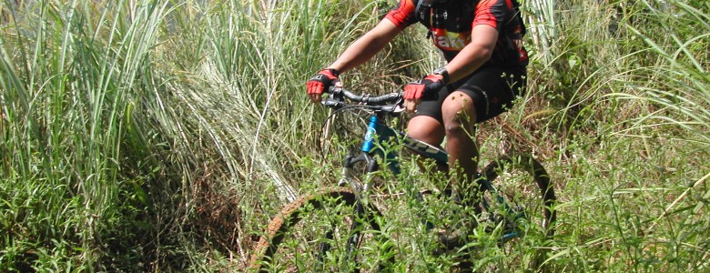 Mountain Biker