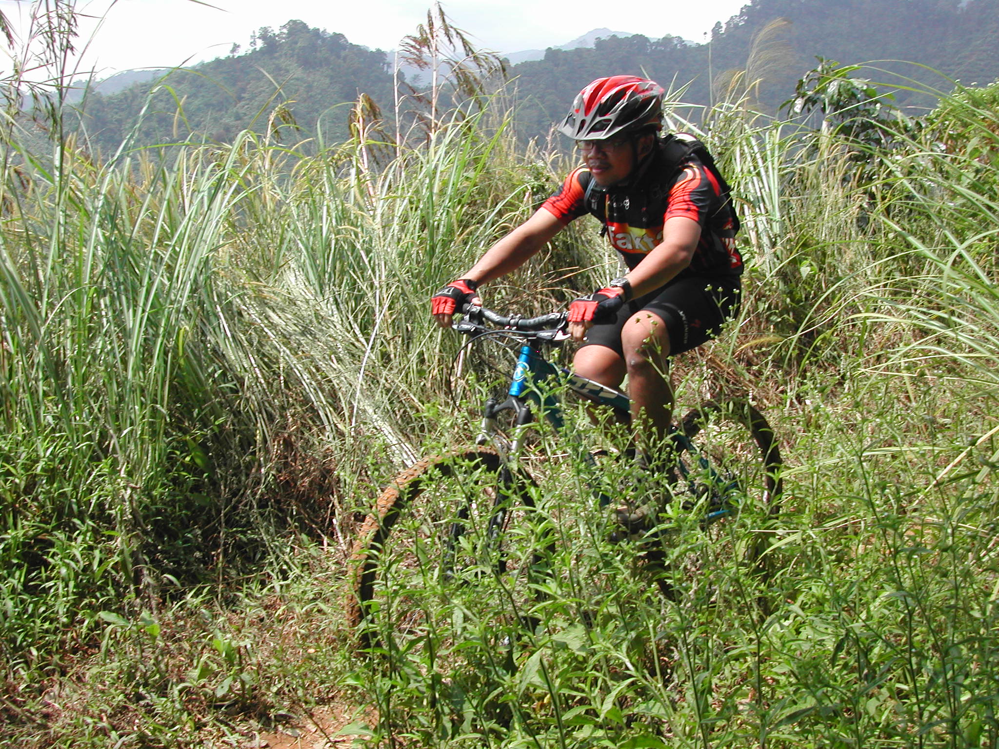 Mountain Biker