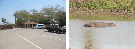 Hoedspruit Airport Kruger Park