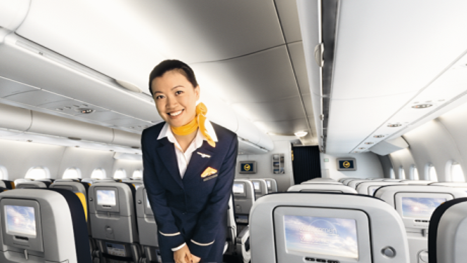 Lufthansa Flight Attendant Lufthansa Flight Attendant