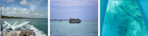 mauritius travelstart