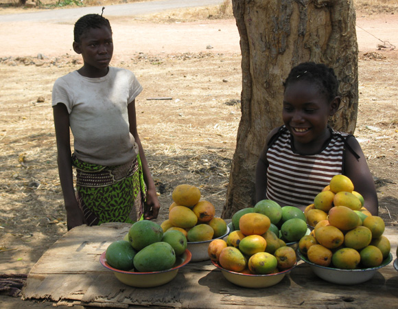 Girls selling mangos, Zambia