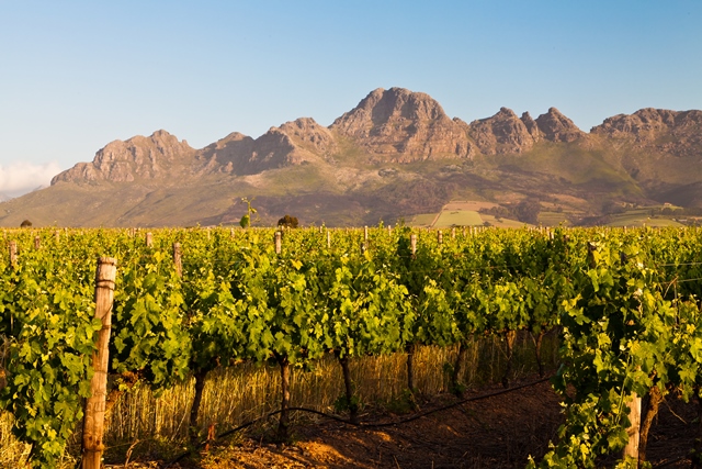 One of the Western Cape's scenic wine valleys