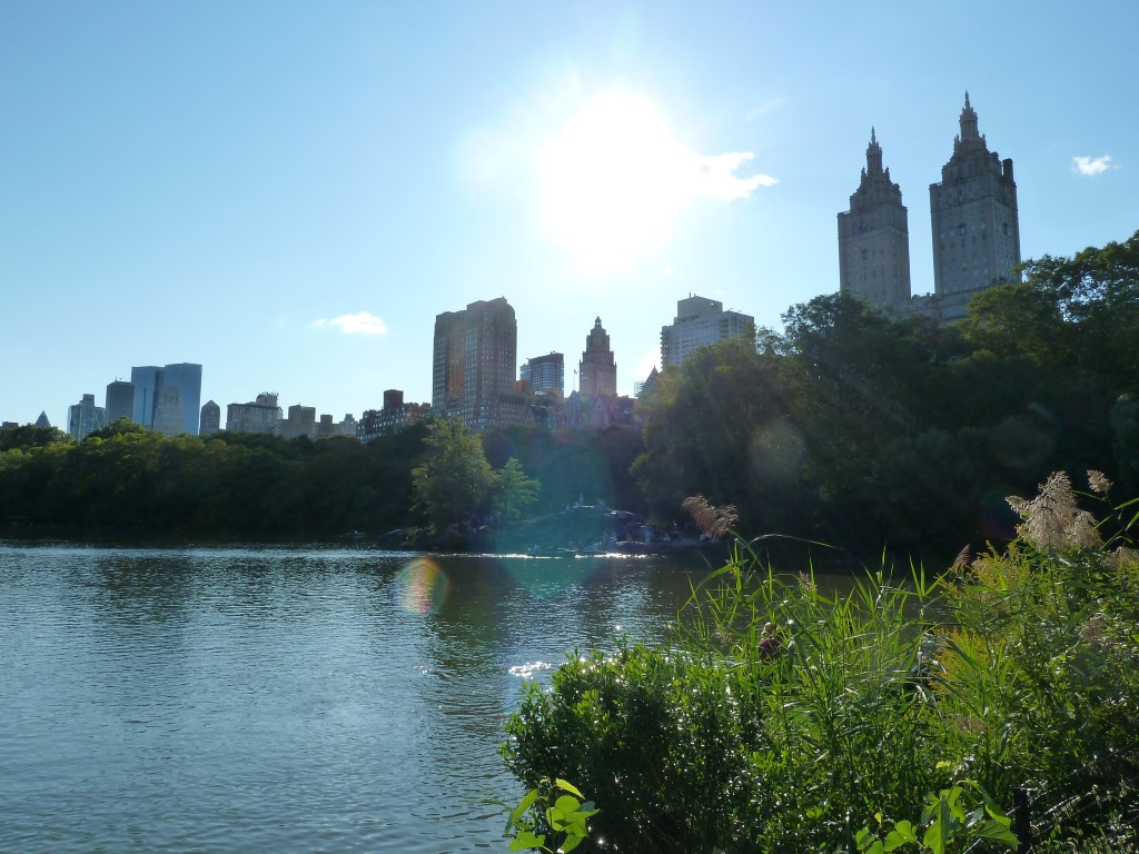 View of New York from Central Park