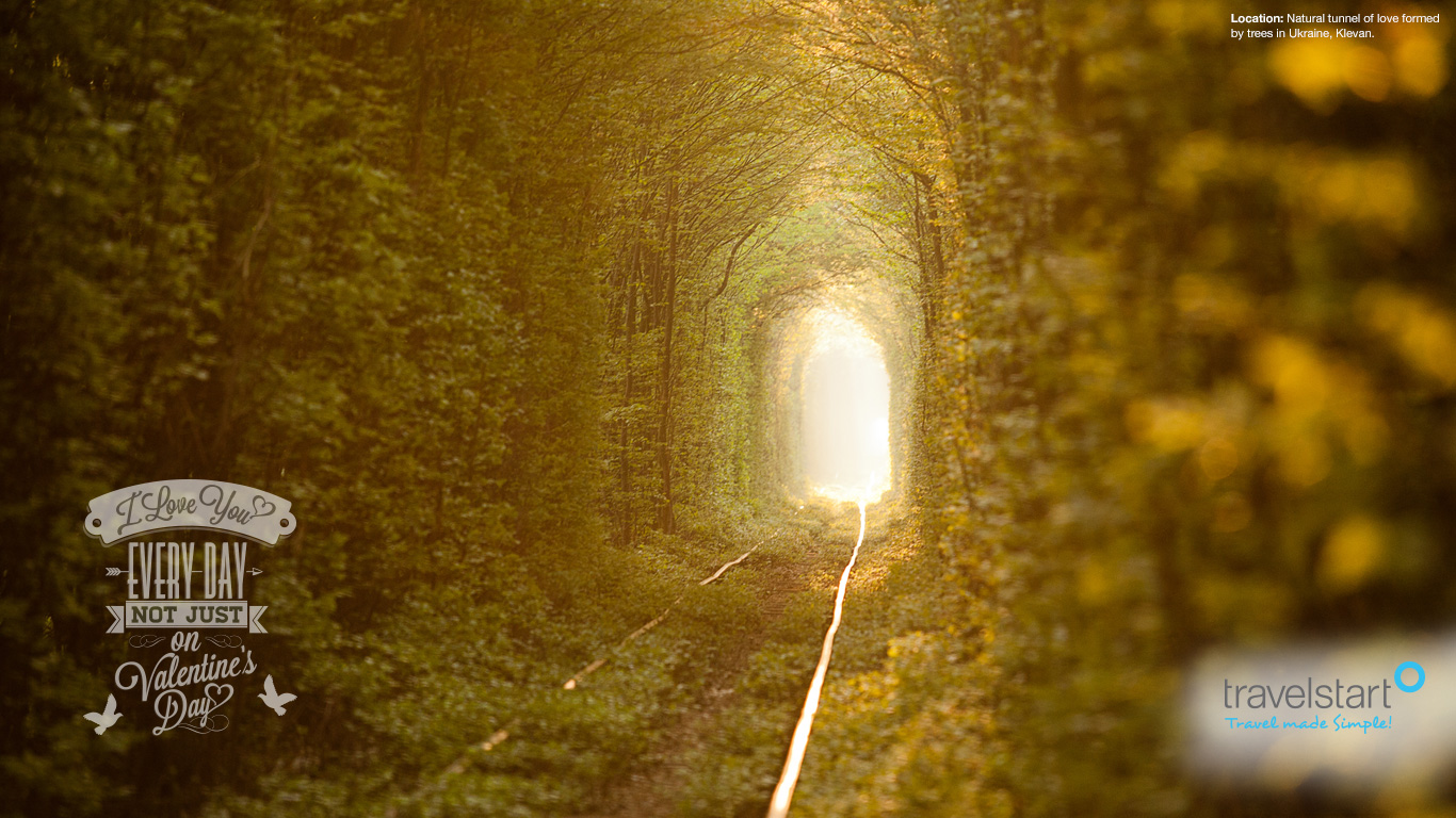 Free Download: February Wallpaper Featuring the 'Tunnel of Love' |  Travelstart Blog