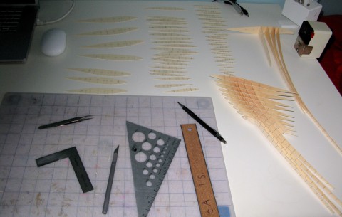 Laying out the cross-sections for the initial set of wings.