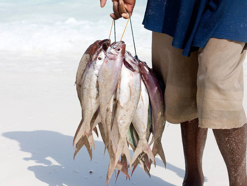 zanzibar fishermen
