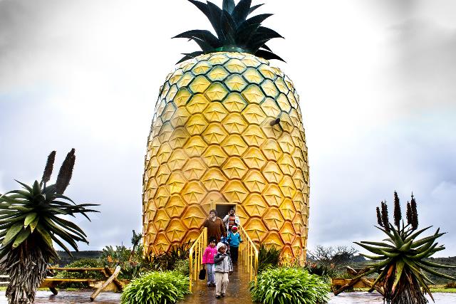 Bathurst Big Pineapple