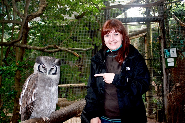 World of Birds