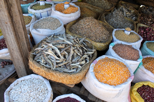Dawn Jorgensen, Moramango Market, Fish and Grains