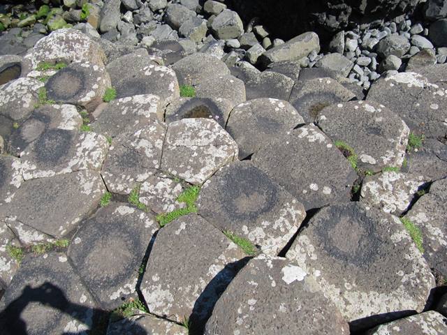 Hexagonal rock formations found at Giant's Causeway in Northern Ireland.
