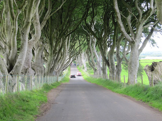 Scene of the King's Road in Game of Thrones, Northern Ireland.