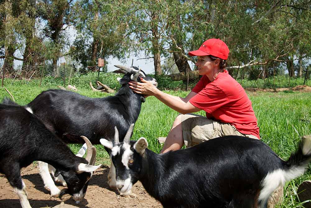 Get outdoors this summer by enjoying a working farm holiday experience on one of South Africa's many livestock smallholdings.