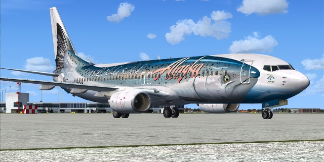 Alaska Airlines Salmon Plane
