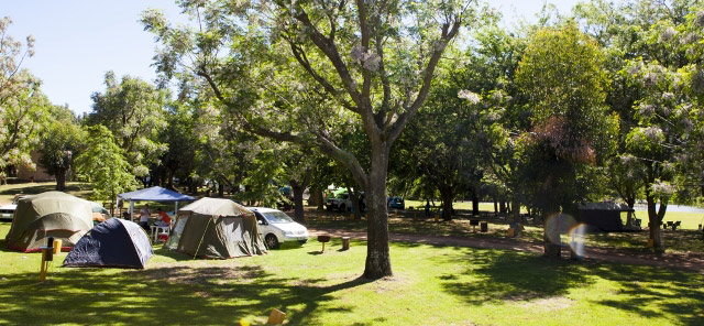 Berg River Resort near Paarl offers fantastic family-style camping in the heart of the Cape Winelands - south african campsites