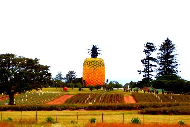 Big Pineapple Bathurst