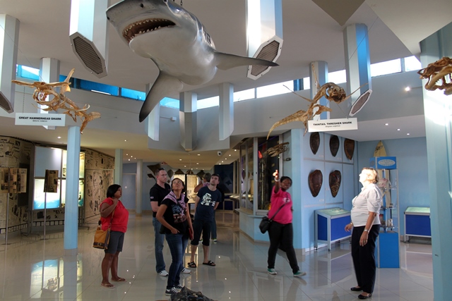 Kwazulu-Natal Sharks Board