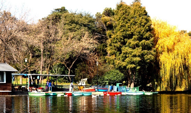 Zoo Lake - family vacation