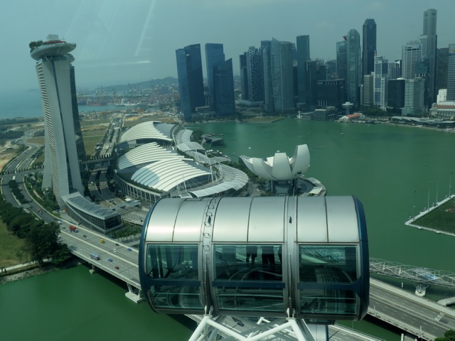 The Singapore Flyer above the city skyline.