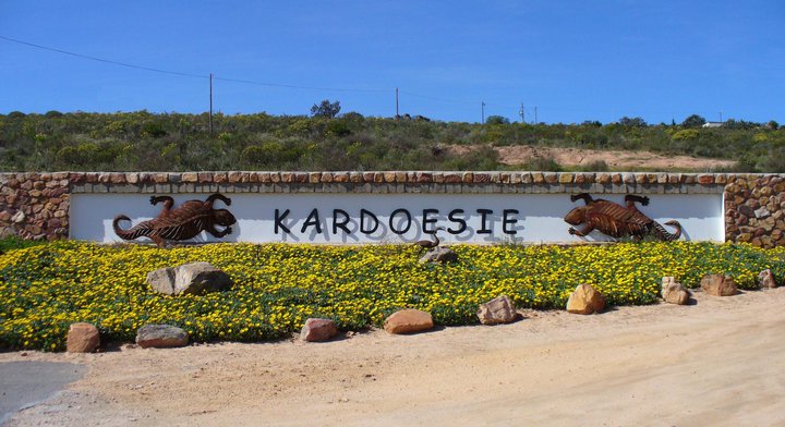 kardoesie1