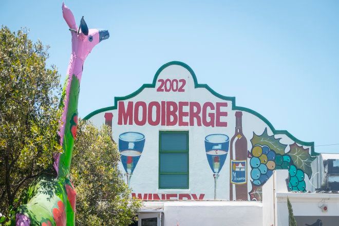 mooiberg strawberry picking farmstall