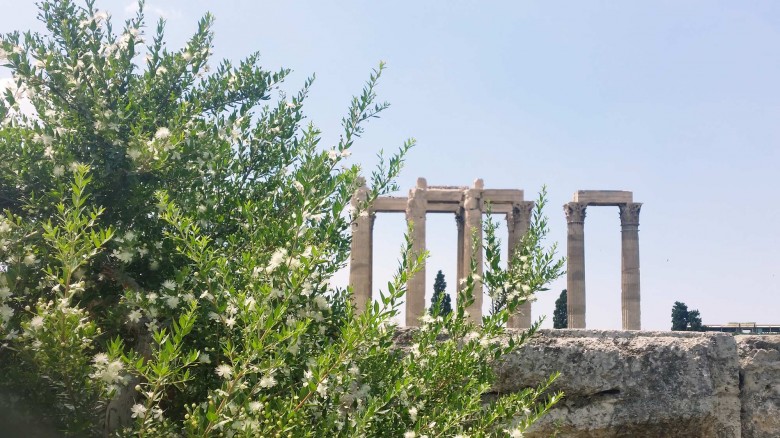 The Temple-of-Zeus-in-Athens