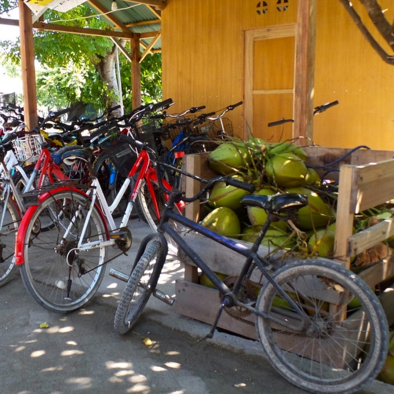 Gili island coconuts and bikes