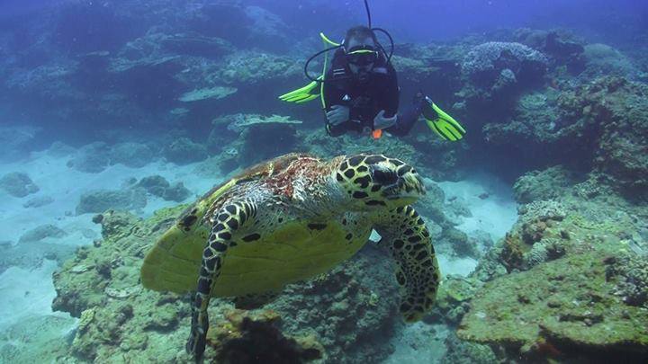 Diving Sodwana Bay