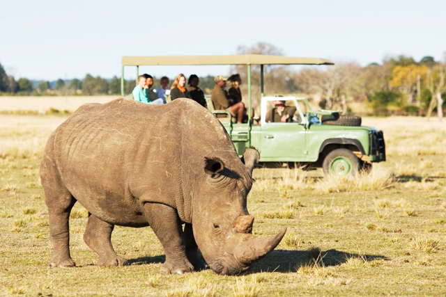 plett-game-reserve-1