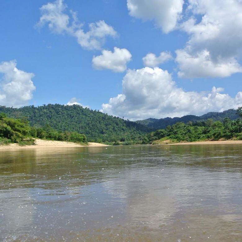 Taman Negara National Park,