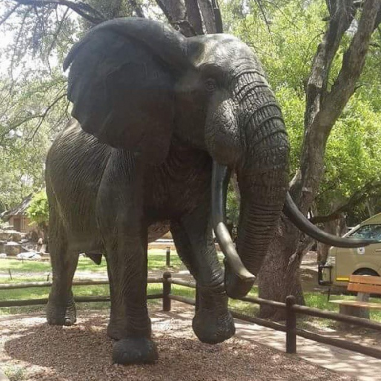 Your Ultimate Guide To Accommodation In Kruger | Travelstart Blog