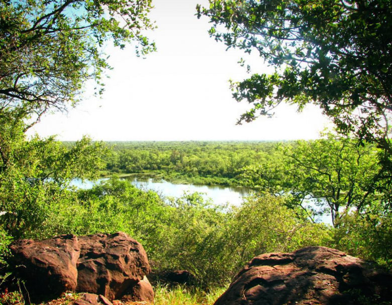 mopani