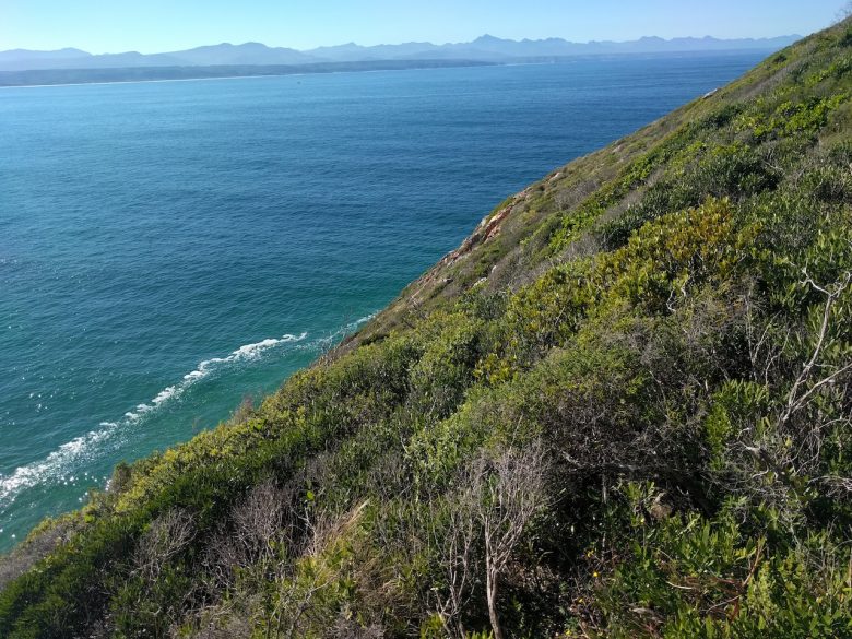 robberg garden route