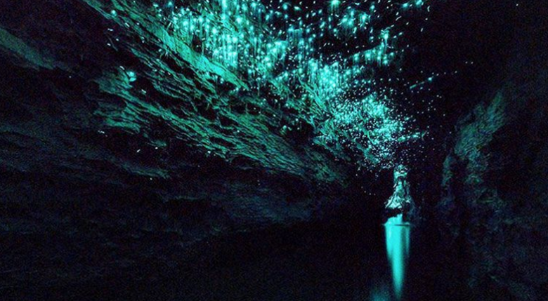 glowworm cave New Zealand bizarre attractions