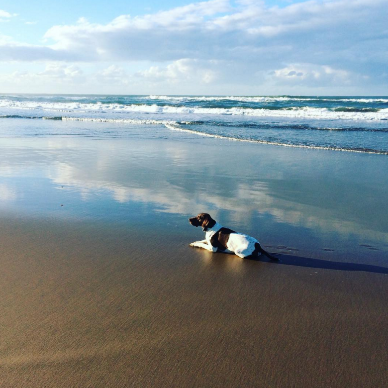 mtunzini beach