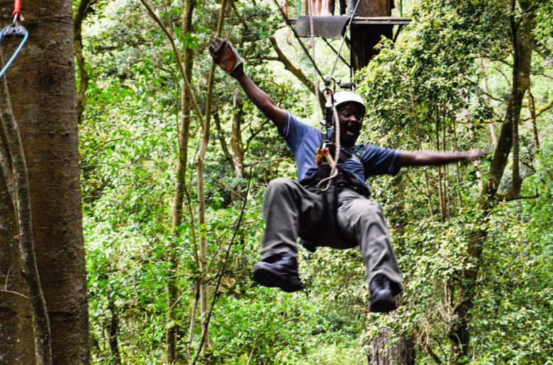 tsitsikamma canopy tours adventure on the garden route