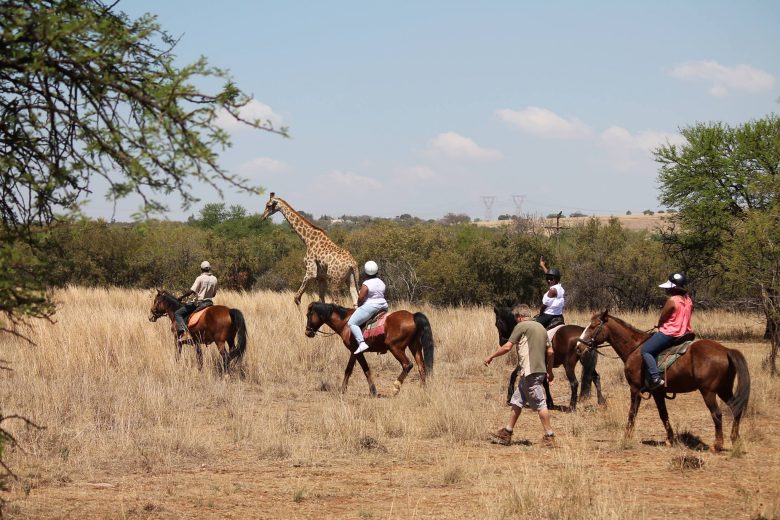 harties-horse-trail-safaris adventures activities
