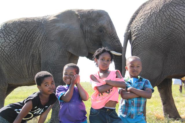 kynsna-elephant-park