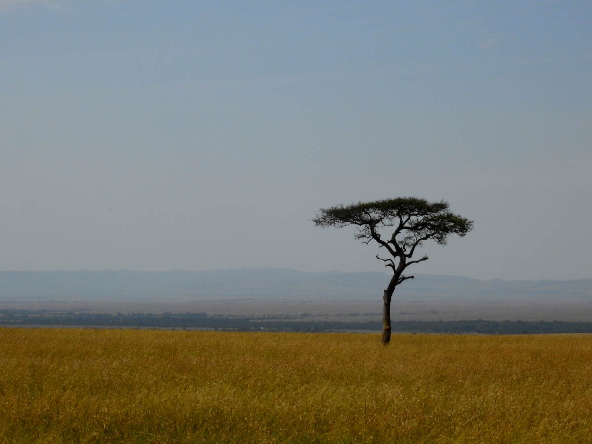 Kenya MustSee Iconic Attractions from Masaai Mara to Mount Kenya