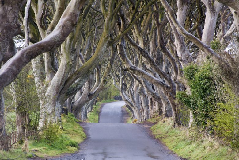 Game Of Thrones_2