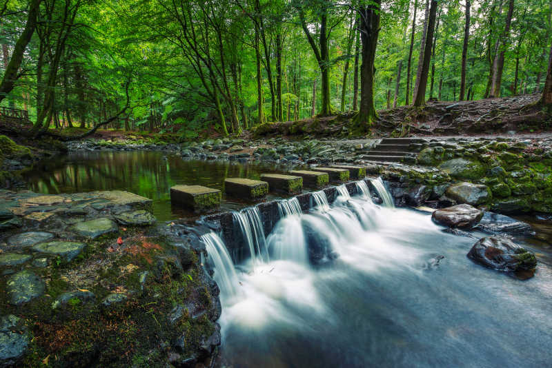 Tollymore Forest Game of Thrones