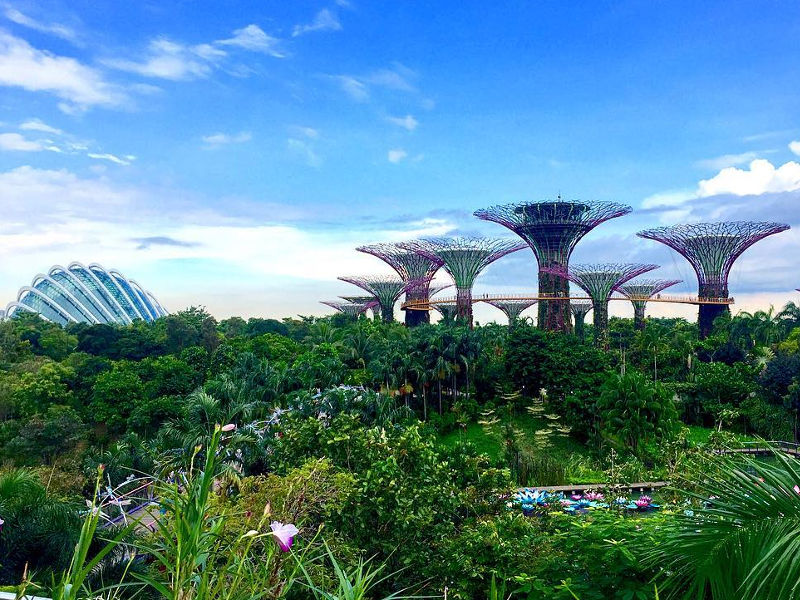 gardens by the bay singapore