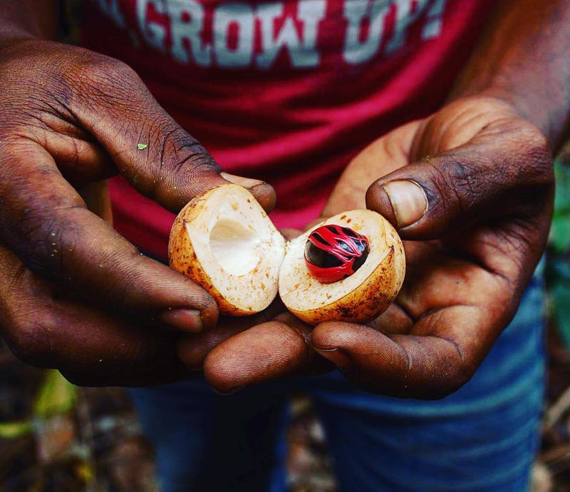 spice tour in zanzibar