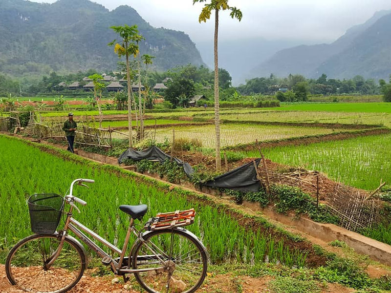 best time to visit vietnam