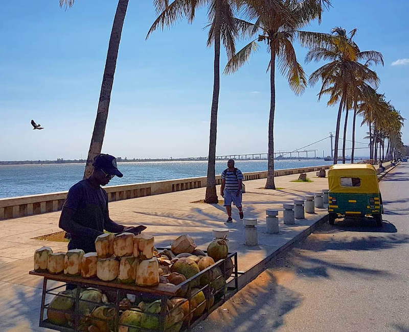 coconut vendor in mozambique