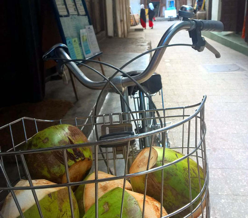 coconuts zanzibar