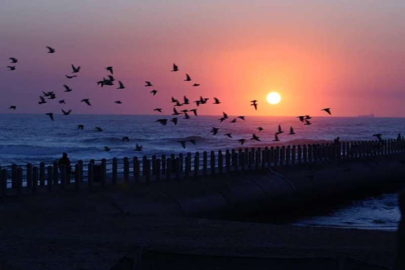 Best time to visit Durban