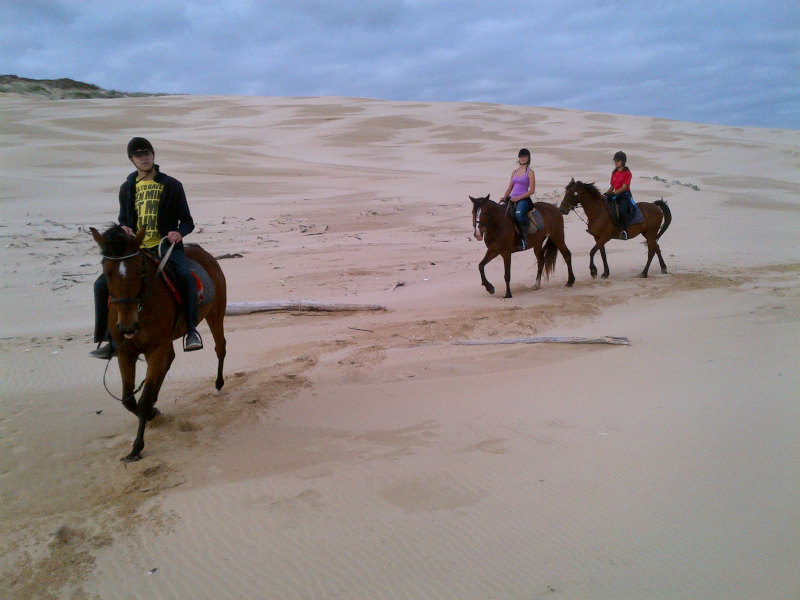 Heavenly Stables things to do in port elizabeth updated